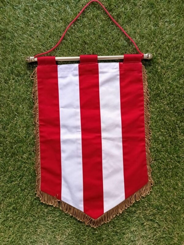 THE OFFICIAL PENNANT OF THE GAME  PANSERAIKOS- OLYMPIAKOS 0-4 (16/02/25) SUPER LEAGUE  DIMENSIONS 50*35 - Image 4